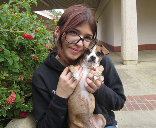 Photo 4 of Boo Boo