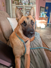 Freyja - Photo 9