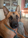 Freyja - Photo 11