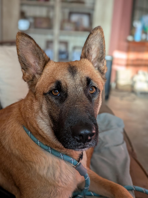 Freyja