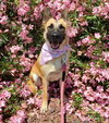 Freyja - Photo 8