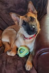 Freyja - Photo 6