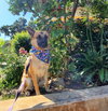 Freyja - Photo 4