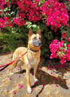 Freyja - Photo 5