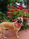 Freyja - Photo 2