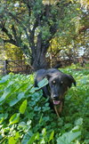 Seven - Photo 6