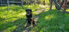 Seven - Photo 7