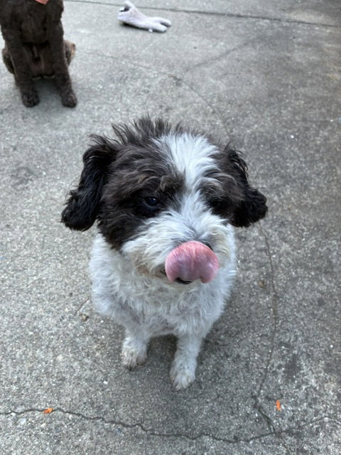 Jack