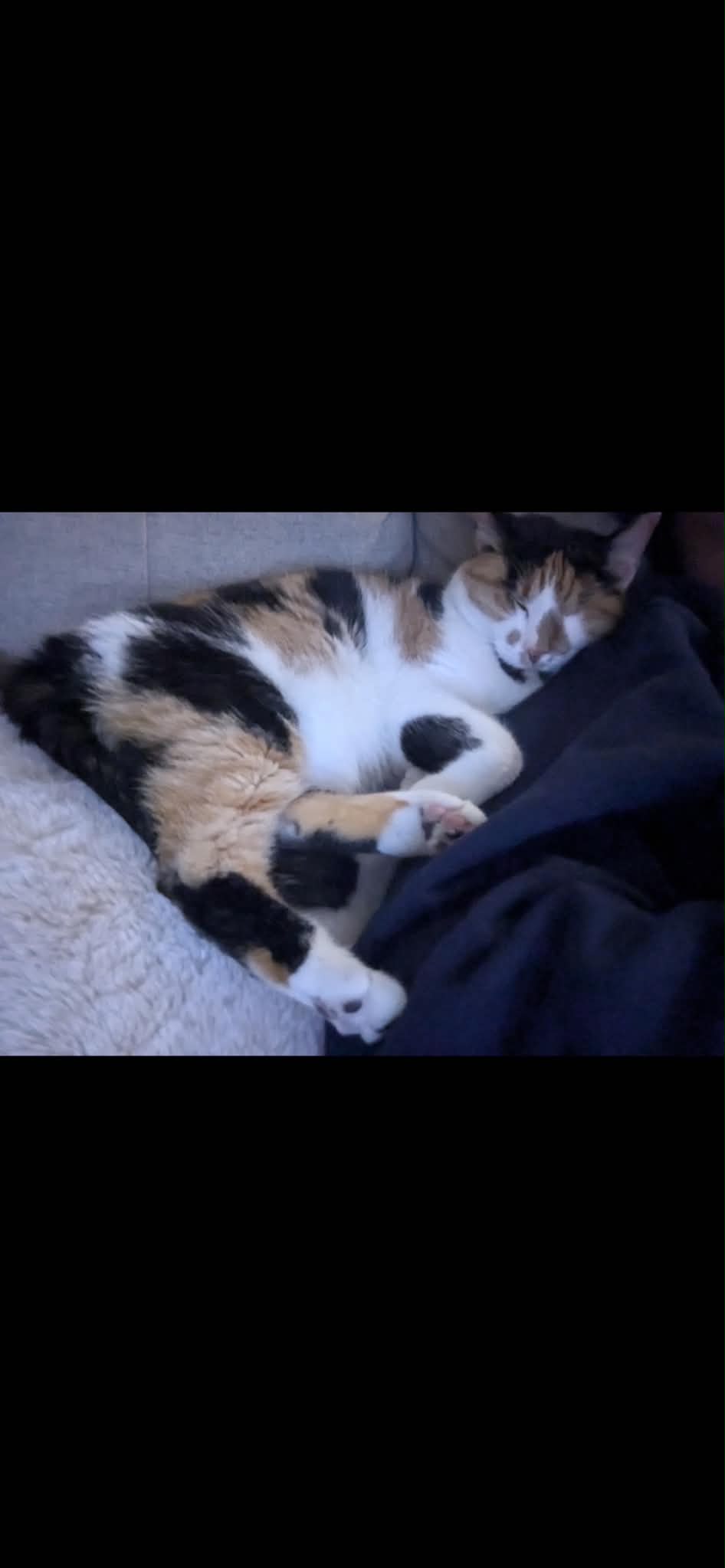 Penny Lane, photo 3