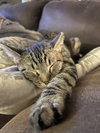 Squirmy Wormy - Photo 6