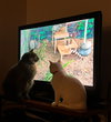 Finn and Lilla - Photo 4