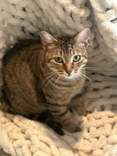 Photo 2 of Caroline