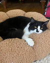 Calypso - Photo 1
