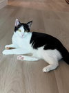 Gigi - Photo 2