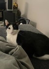 Gigi - Photo 4