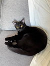 Lizzie - Photo 3