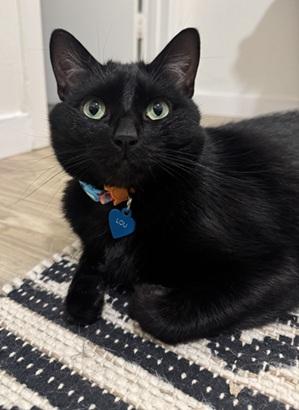 Lou