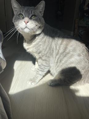 Bernie