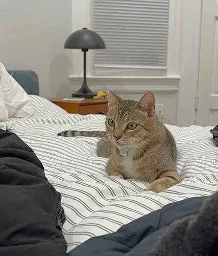 Tucker image 4