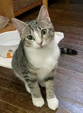 Claudia image 4