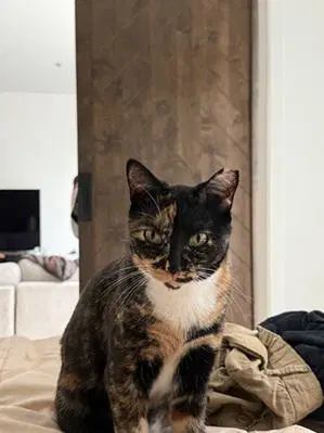 Gabby image 2