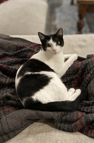 Photo 2 of Mama Moo