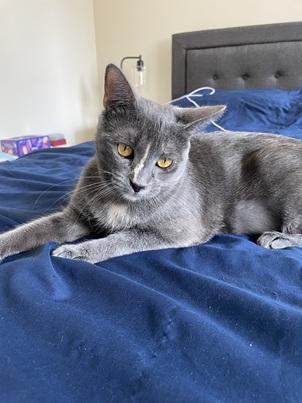 Mia
