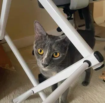 Mia image 2