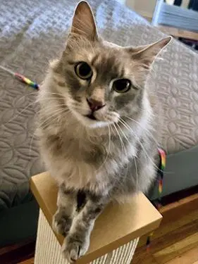 Sasha image 2