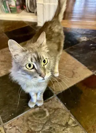 Sasha image 3