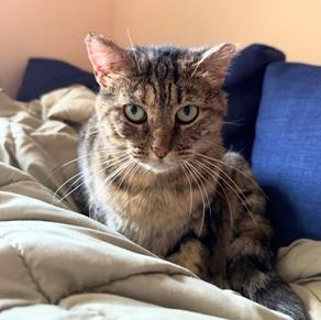 Junipurr aka Juni, photo 2