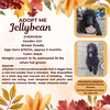 adoptable Dog in rancho cordova, CA named Jelly Bean