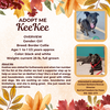 adoptable Dog in rancho cordova, CA named KeeKee