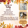 adoptable Dog in rancho cordova, CA named Lilly