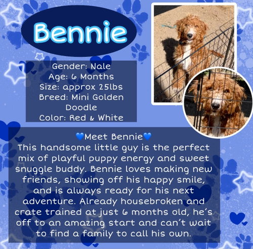 Bennie