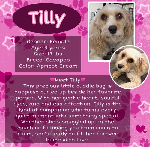 Tilly