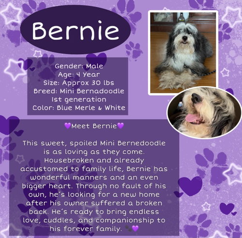 Bernie