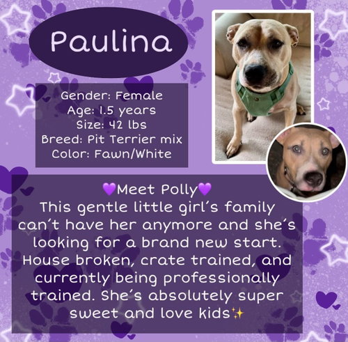 Paulina
