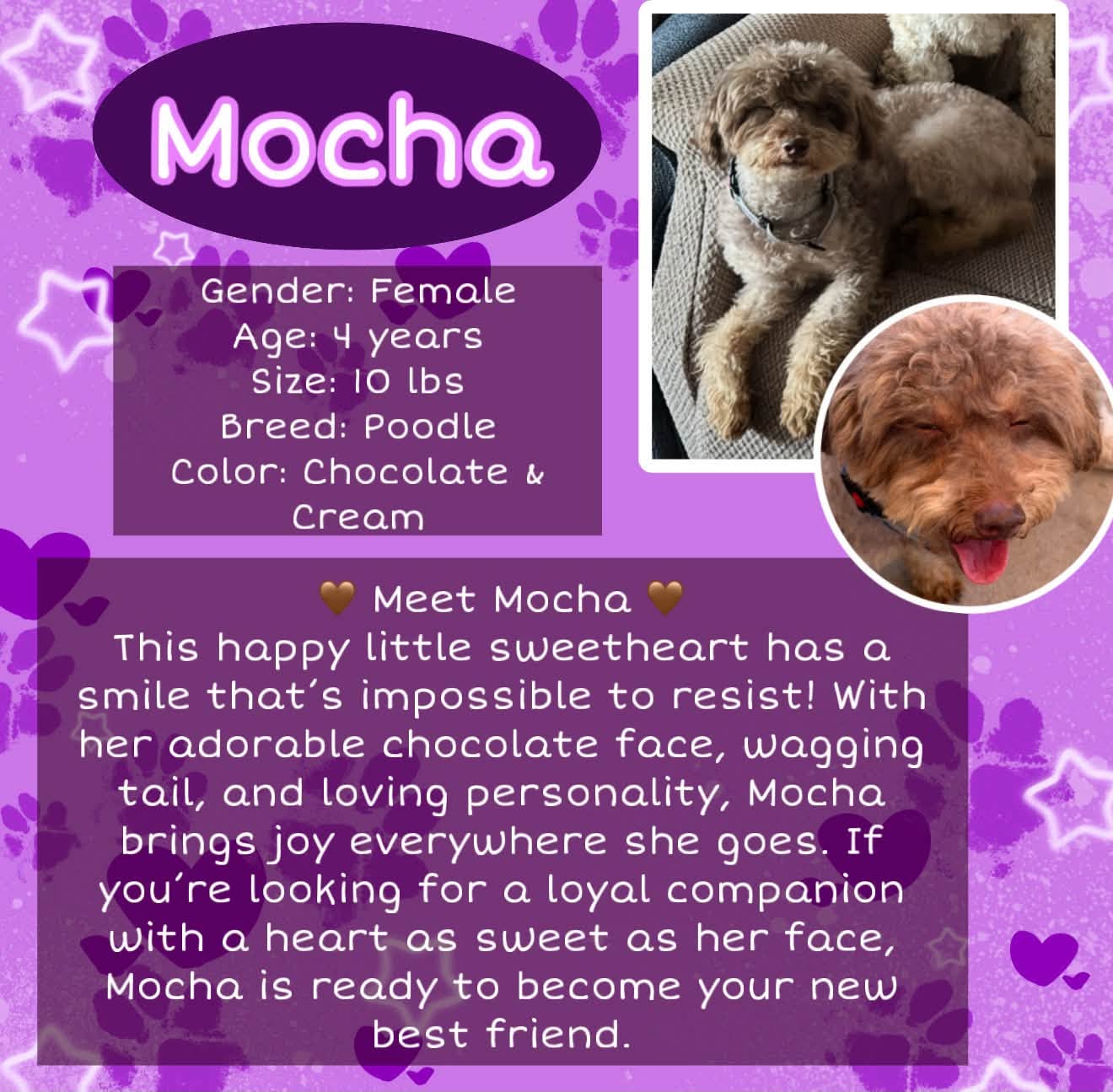 Mocha