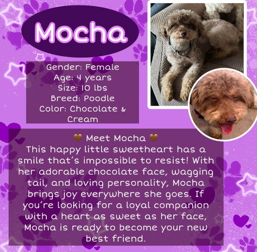 Mocha