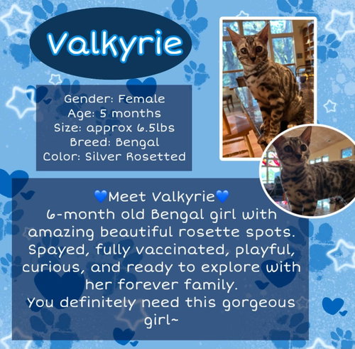 Valkyrie
