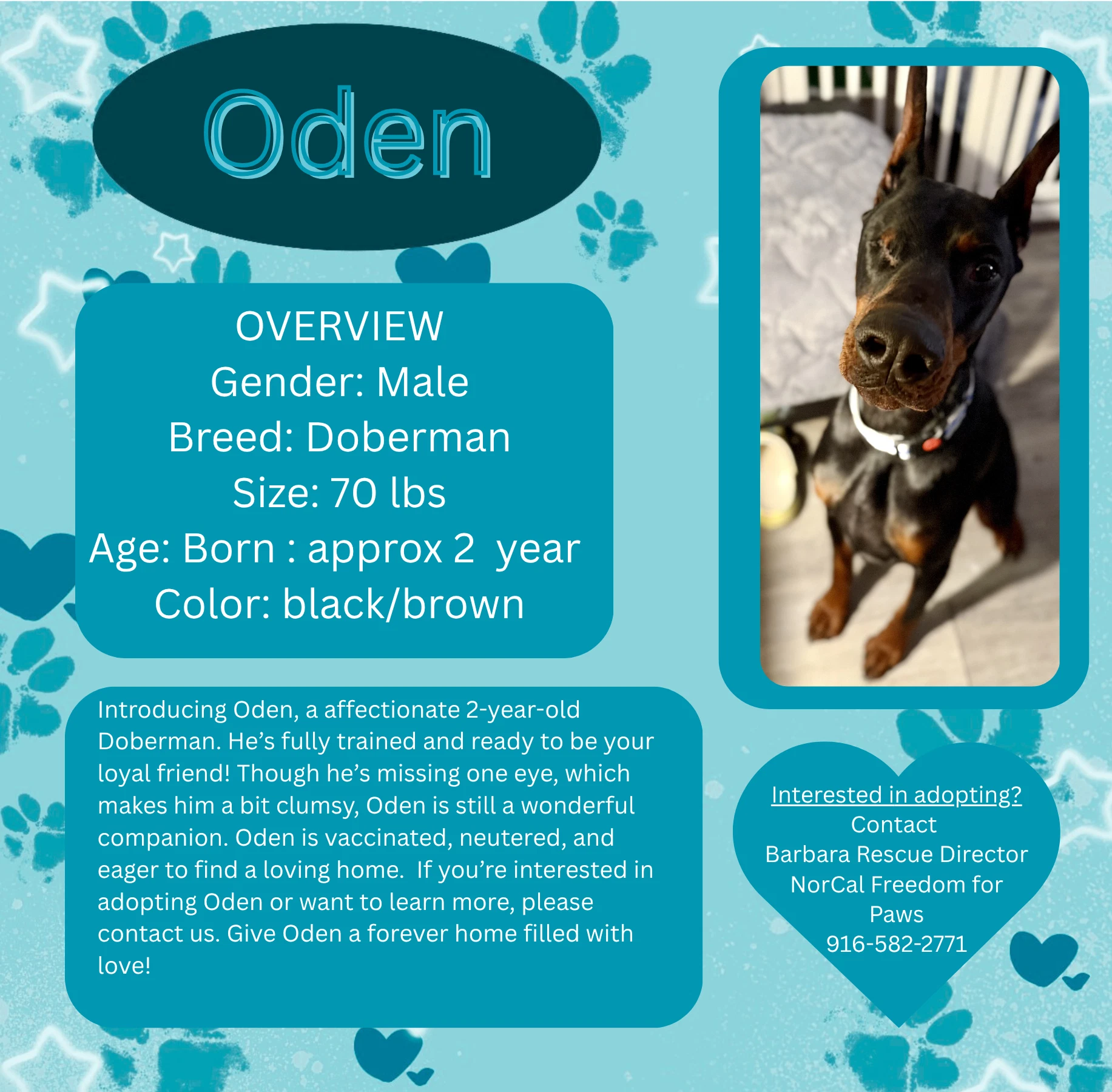 Oden