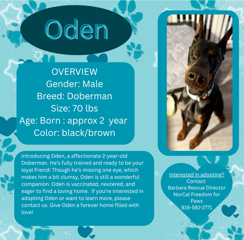 Oden