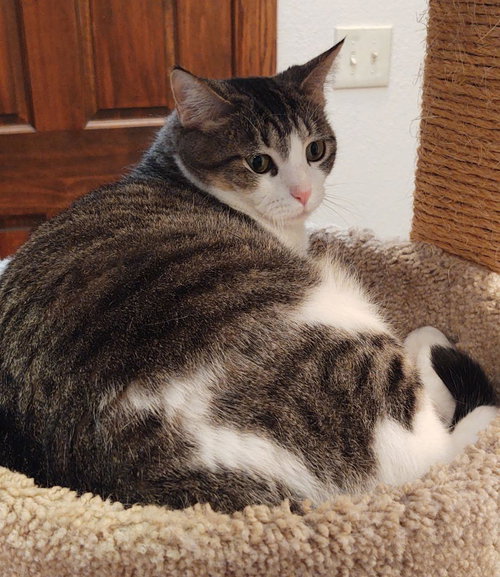 Photo 4 of Hazel