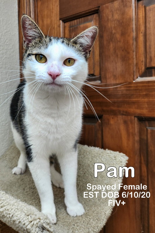 Pam