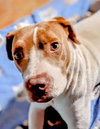 East - Urgent - Photo 2
