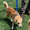 Lucy - Photo 2