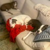 Bumpkin - Urgent - Photo 5