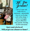 Jordan - Photo 2