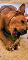 Young Cooper - Photo 2